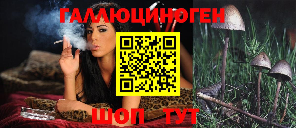 Галлюциногенные грибы GOLDEN TEACHER Бахчисарай