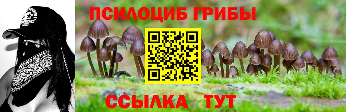 Бахчисарай  где можно купить наркотик  Галлюциногенные грибы GOLDEN TEACHER  Вход с VPN  Псилоцибиновые грибы мухоморы 